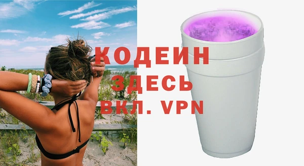 прущий лед Алзамай